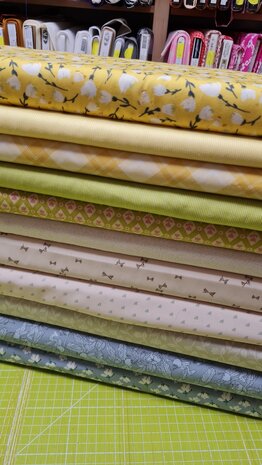 EQP textiles - back & forth fat quarter bundel 